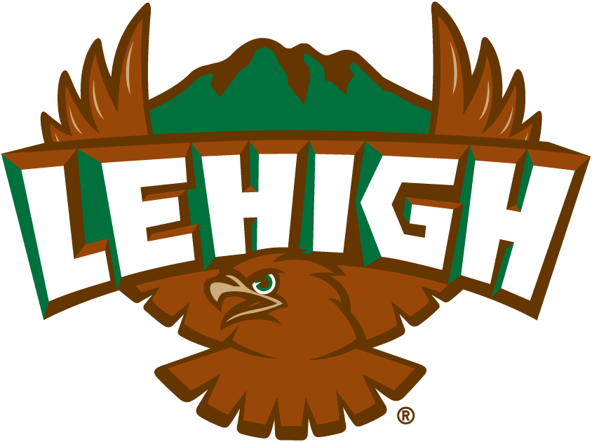 Lehigh Mountain Hawks 1996-2003 Primary Logo diy fabric transfer